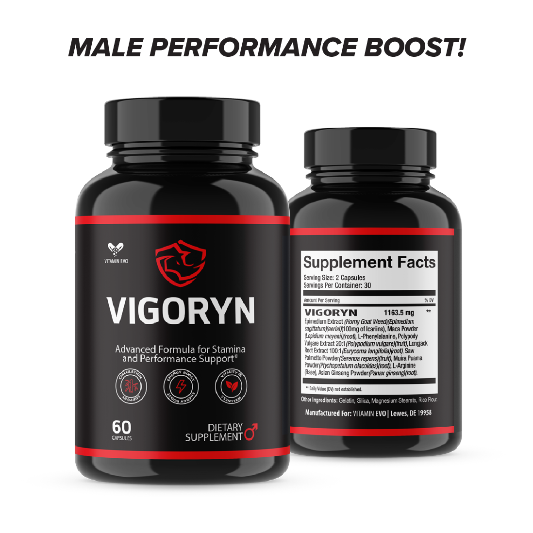Vigoryn Male Performance Pills Men Advanced Formula Support (60 Capsules)
